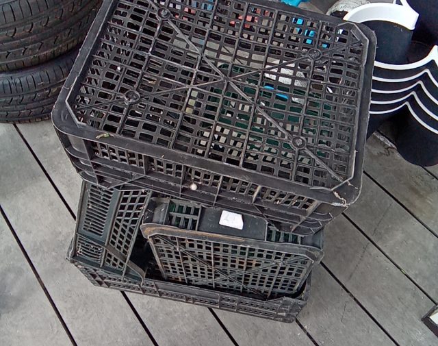 Plastmasinês dêžutės