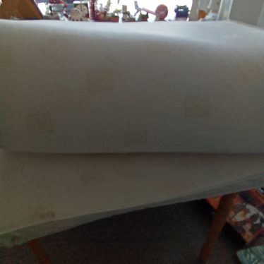 Ančiužinys dvigulis