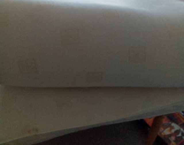 Ančiužinys dvigulis