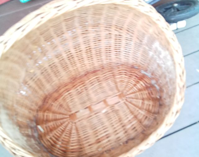 Pintinė