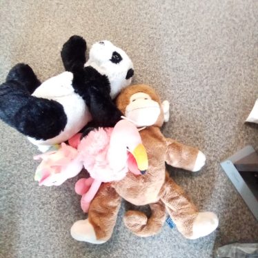 Beždžionė  ir panda
