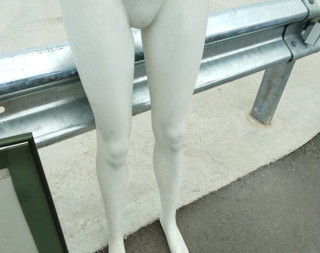 Manekeno kojos