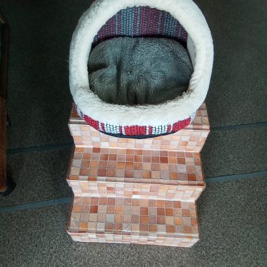 Šuniuko gultas ir laipteliai