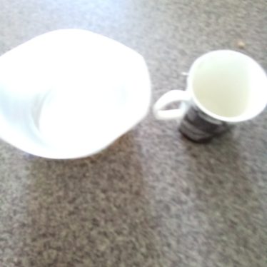 Puodelis