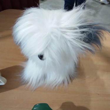 Žaislas