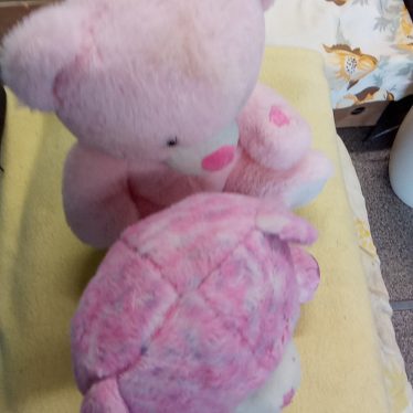 Pliušiniai žaislai