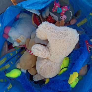 Pliušiniai žaislai