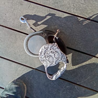 Šunelių dirželiai