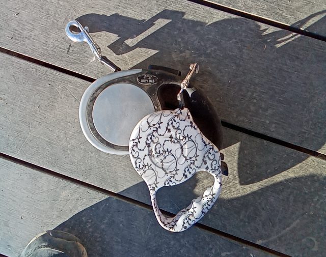 Šunelių dirželiai