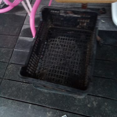 Plastmasinês dêžutės