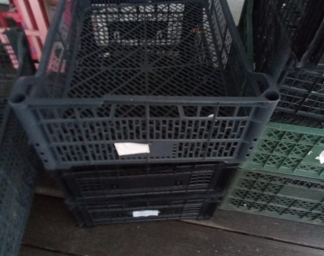 Plastmasės dėžutė