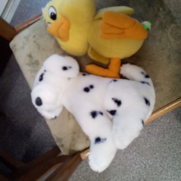 Pliušiniai žaislai