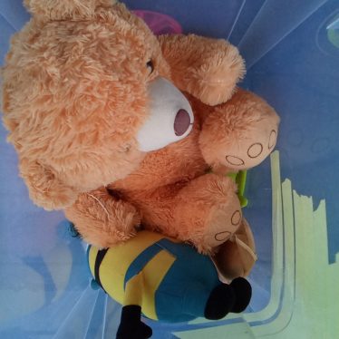 Pliušiniai žaislai