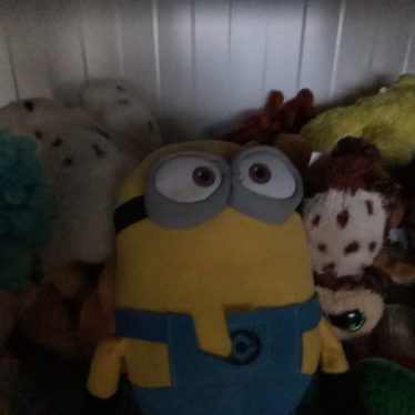 Pliušiniai žaislai