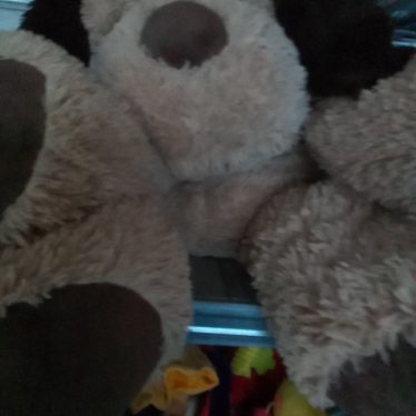 Pliušiniai žaislai