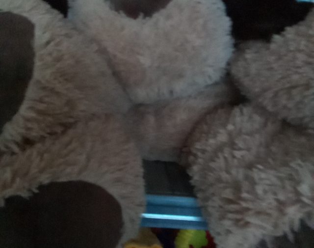 Pliušiniai žaislai