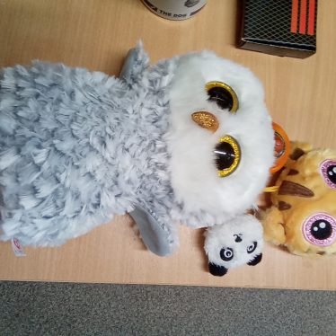 Pliušiniai žaislai