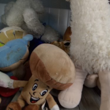 Pliušiniai žaislai