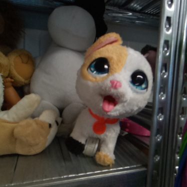 Pliušiniai žaislai