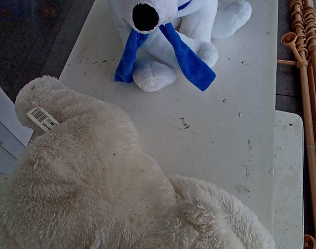 Pliušiniai žaislai