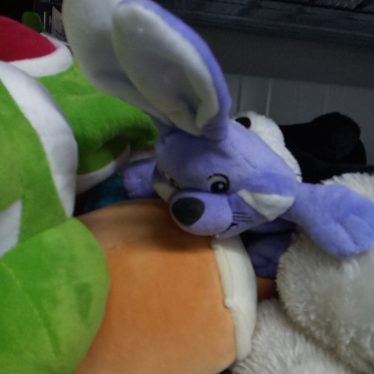 Pliušiniai žaislai