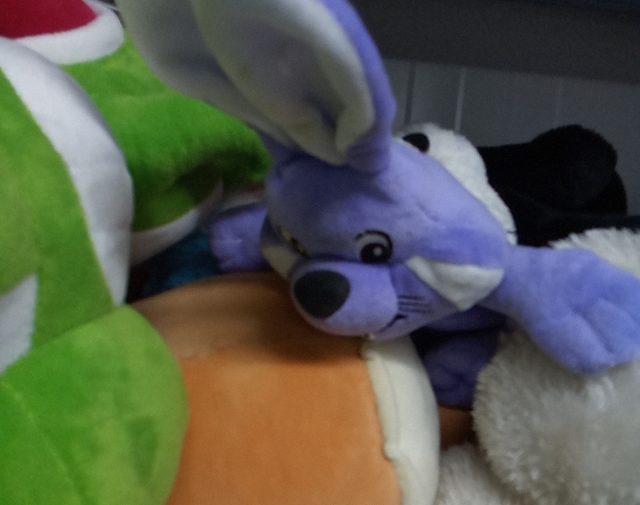 Pliušiniai žaislai