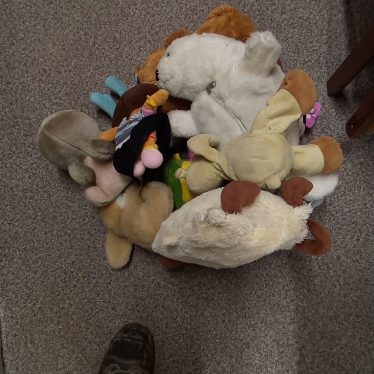 Pliušiniai žaislai