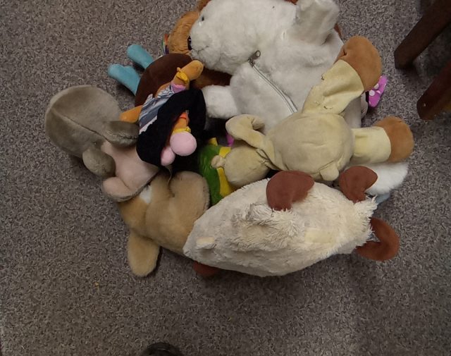 Pliušiniai žaislai