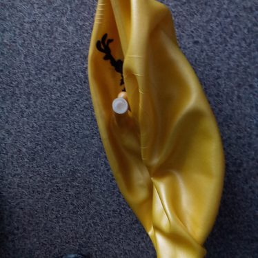 Pripučiamas kamuolys