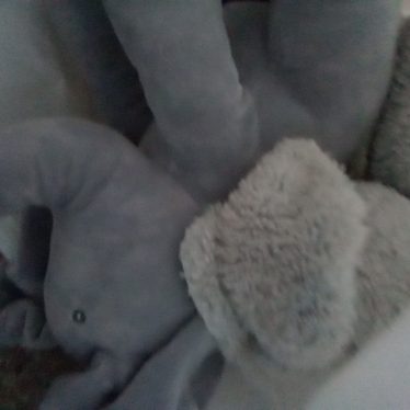 Pliušiniai žaislai