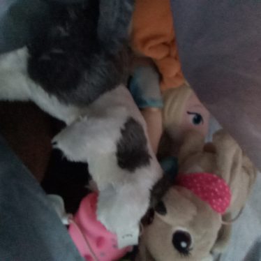 Pliušiniai žaislai