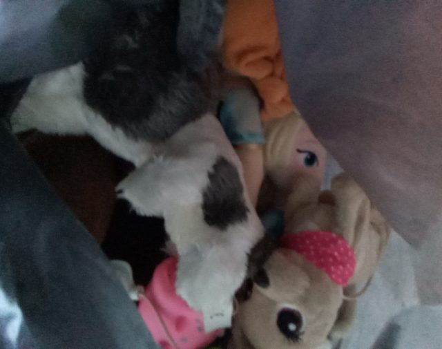 Pliušiniai žaislai