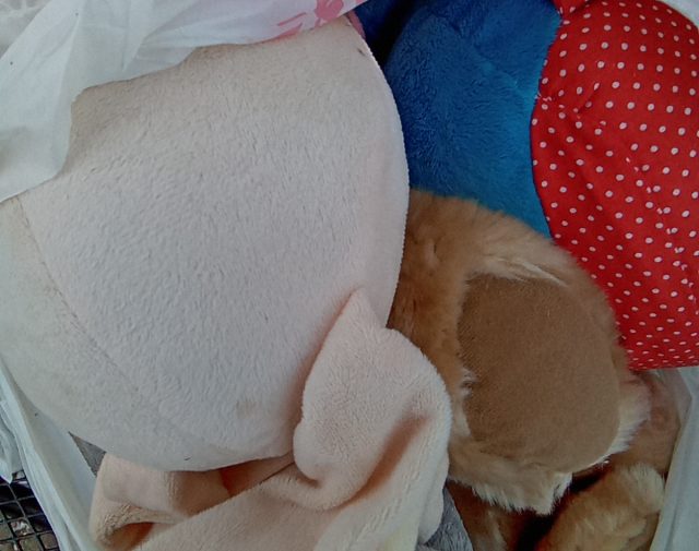 Pliušiniai žaislai