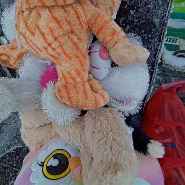 Pliušiniai žaislai