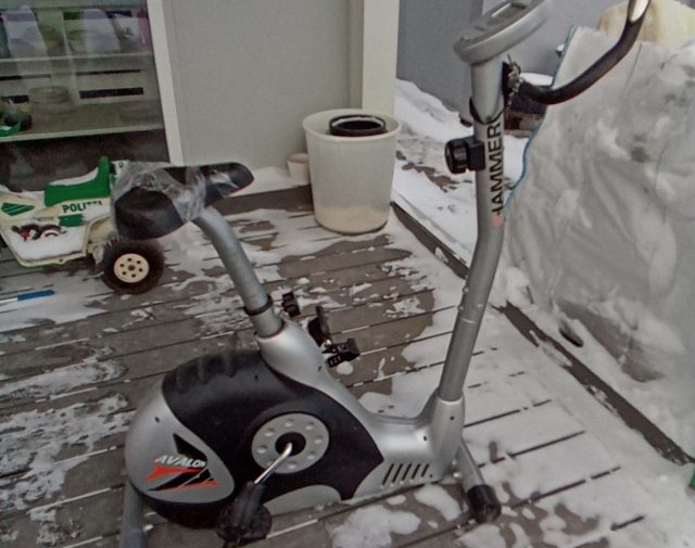 Dviratis treniruoklis