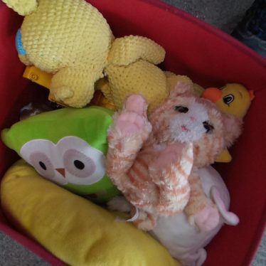 Pliušiniai žaislai