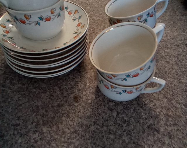 6 Puodelis su lėkštutėm