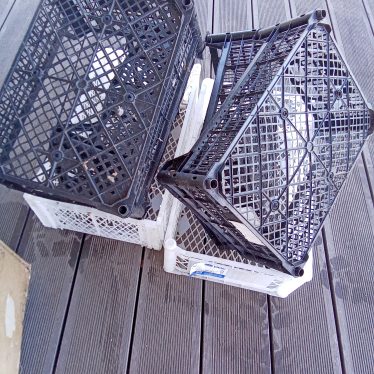 Plastikinės dėžutės