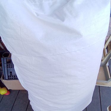 Sėdmaišio sintifonas