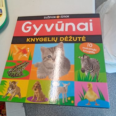 Knygelių dezute