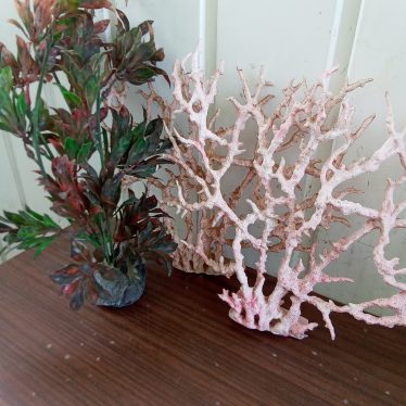 Akvariumo dekoracijos