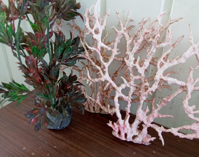 Akvariumo dekoracijos