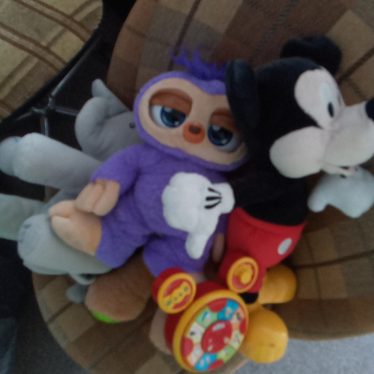 Pliušiniai žaislai