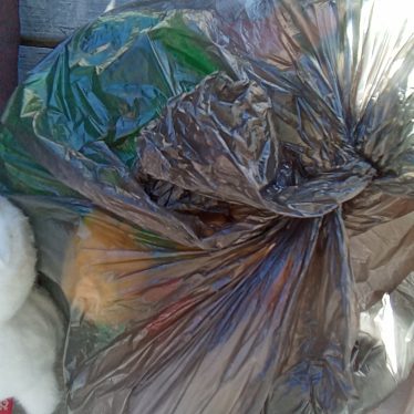 Pliušiniai žaislai