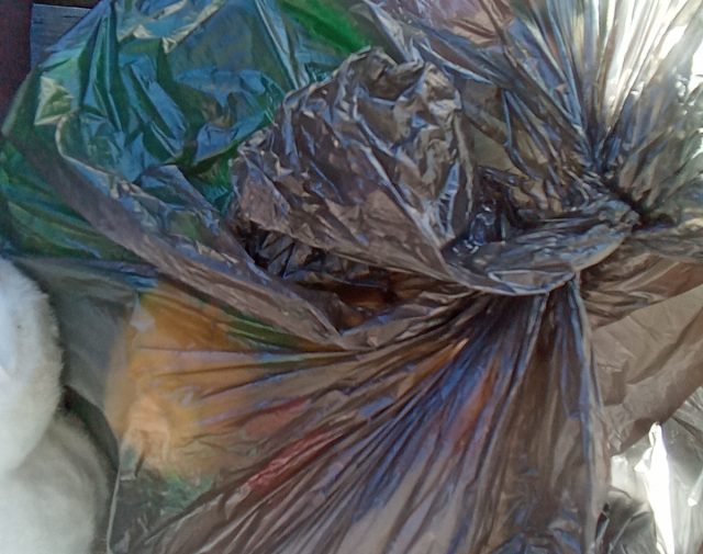 Pliušiniai žaislai