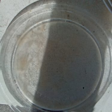 Mikrobangų lėkštutė