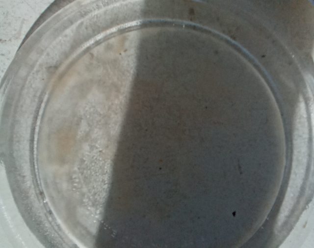 Mikrobangų lėkštutė