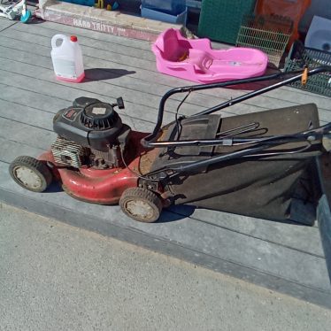 Benzininė Žoliapjovė