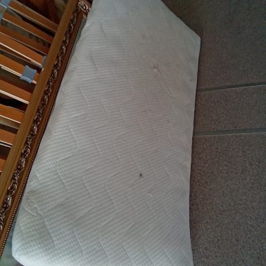 Vaikiškas ciuzinukas