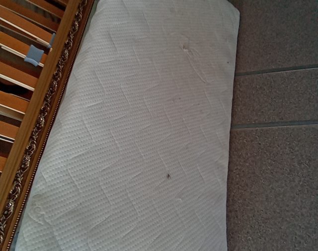 Vaikiškas ciuzinukas